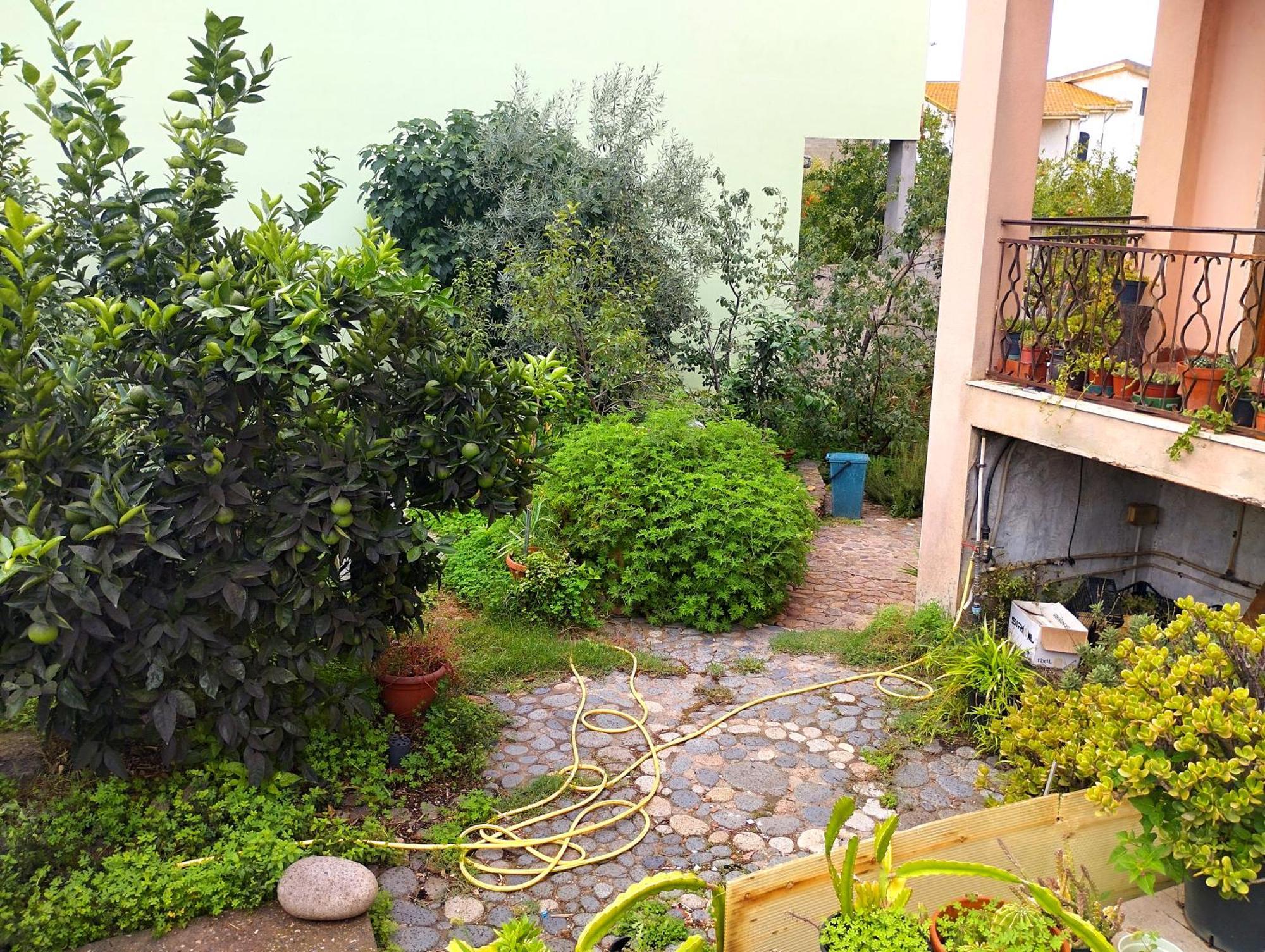 Villa Petrarca Siliqua Esterno foto